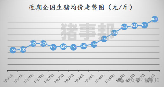 猪事邦||8月4日猪价汇总（日均价破10元/斤，周均价连涨5周！）  第2张