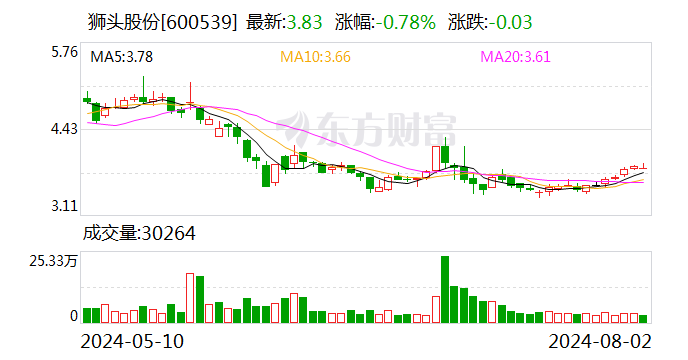 狮头股份收到山西证监局行政监管措施决定书  第1张