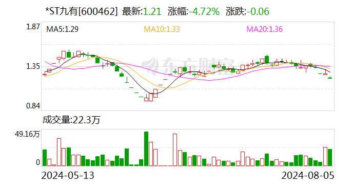 *ST 九有：控股孙公司房产被预查封