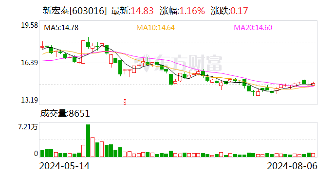 新宏泰：8月22日召开2024年第一次临时股东大会  第1张