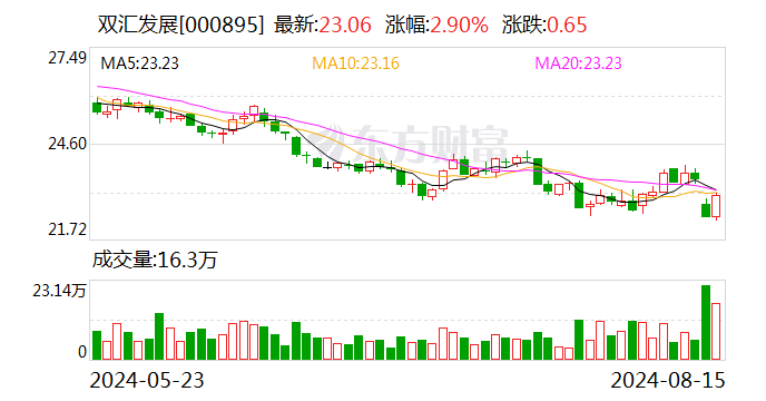 双汇发展发布半年报：上半年营收276亿元 肉制品新渠道销量增超40%