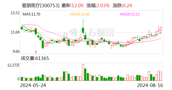 爱朋医疗：2024年半年度净利润约889万元 同比增加221.31%  第1张