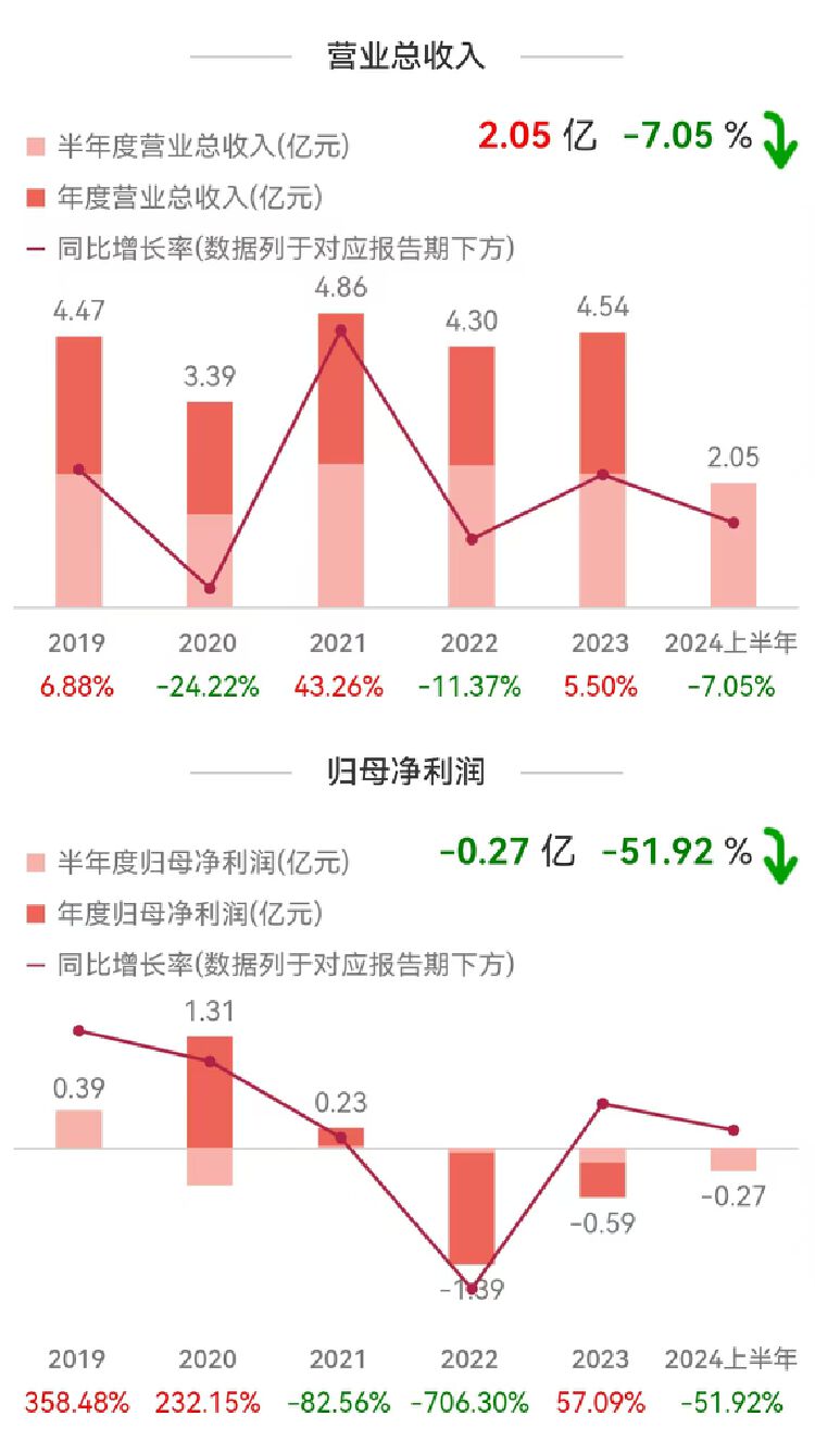 财报透视｜亏损继续扩大！美尔雅上半年净利腰斩，曾连续两年财报被“非标”遭监管追问  第2张