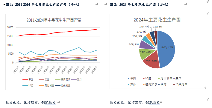 花生产量低于预期 现货仍有下跌空间  第3张