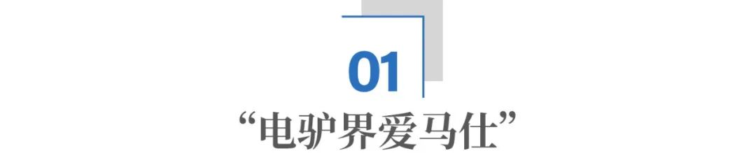 短短3年市值跌96%：中国“电驴界爱马仕”，为何掉队了？  第2张