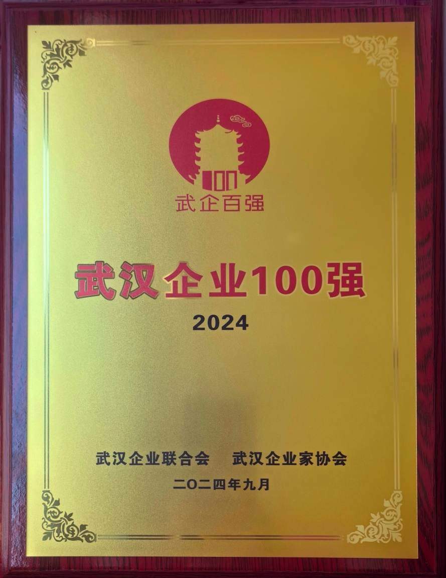 武汉百强企业榜单揭晓 国华人寿稳居前列并获多项殊荣  第1张