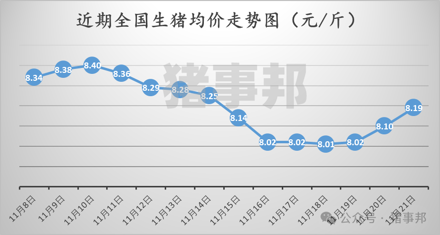 11月21日猪价汇总（继续普涨，但情绪分化！）  第3张